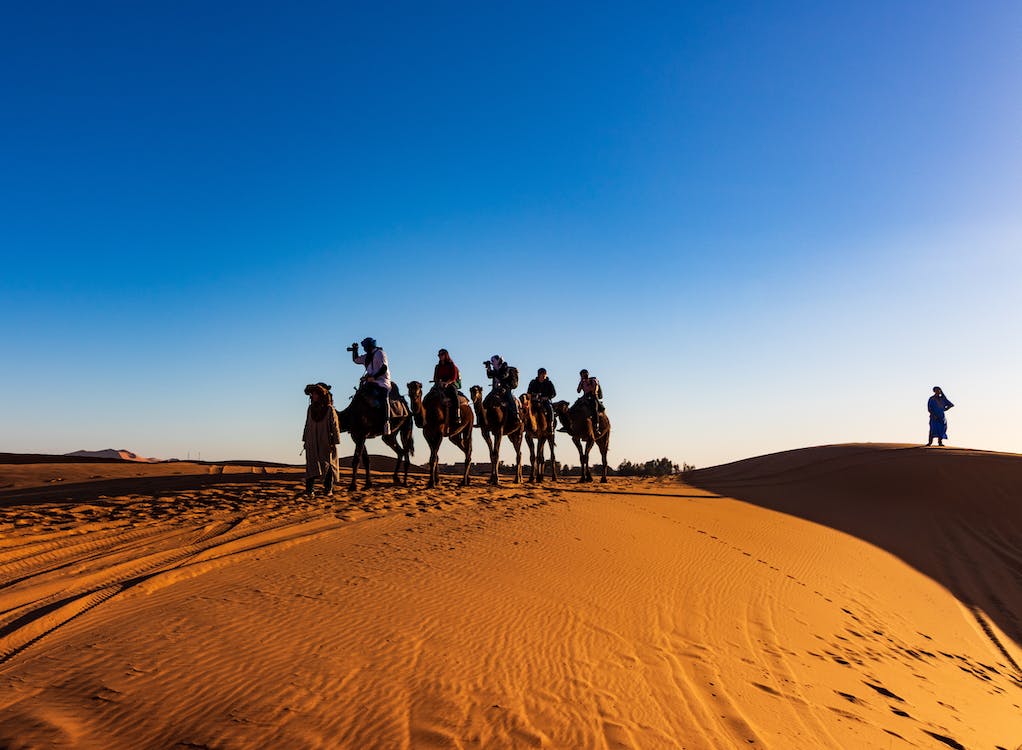 Partir à la découverte du Sahara