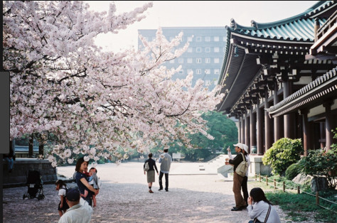 À quels évènements assister pendant un séjour à Tokyo ?