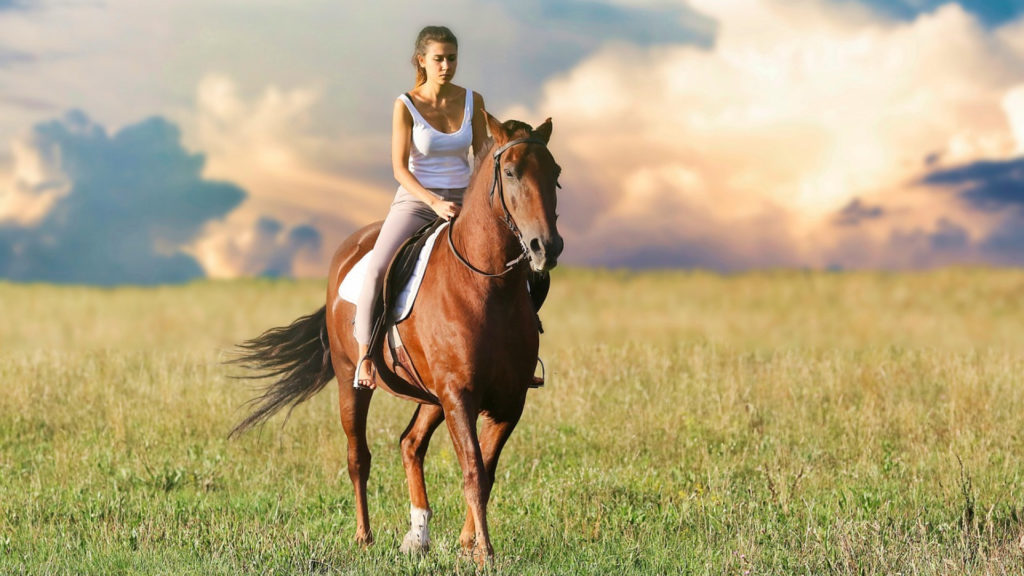 Equitation : Quand monter sur ses grands chevaux est bon pour le moral !