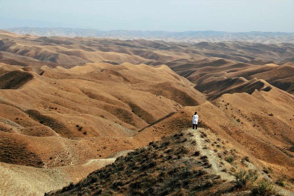 Passer les vacances en Iran : quelques idées d’activités