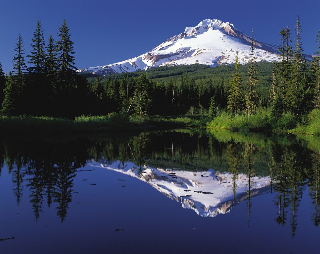 Tourisme : 5 activités originales à découvrir dans l’Oregon