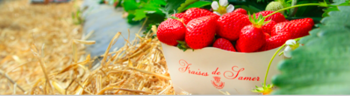 Dans les Hauts-de-France, la recette du bien-être se trouve aussi dans l’assiette !