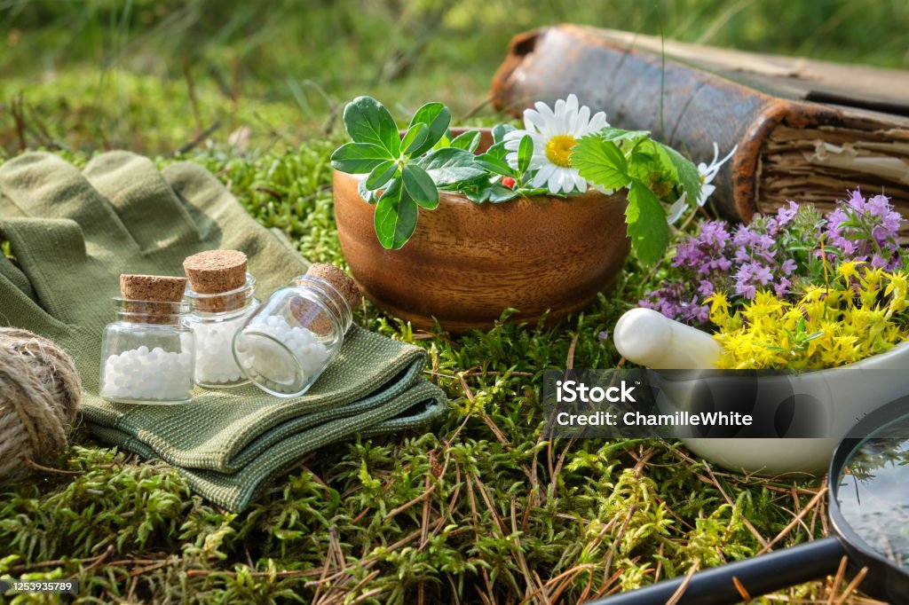 Formation en naturopathe : et si vous transformiez votre passion en carrière épanouissante ?